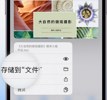 卓资apple维修中心分享iPhone文件应用中存储和找到下载文件