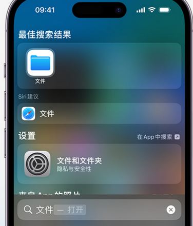 卓资apple维修中心分享iPhone文件应用中存储和找到下载文件 