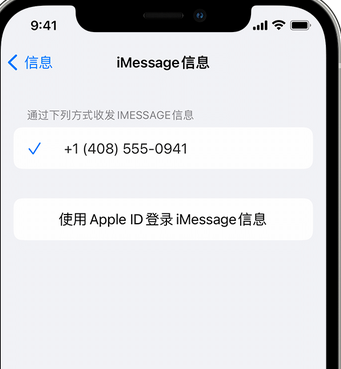 卓资apple维修iPhone上无法正常发送iMessage信息 