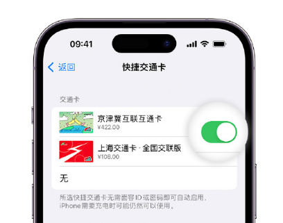 卓资apple维修点分享iPhone上更换Apple Pay快捷交通卡手绘卡面 