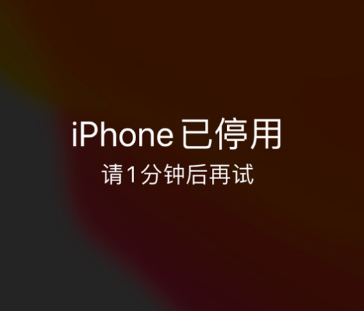 卓资苹果手机维修分享:iPhone 显示“不可用”或“已停用”怎么办？还能保留数据吗？ 