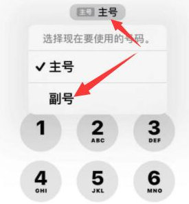 卓资苹果14维修店分享iPhone 14 Pro Max使用副卡打电话的方法 