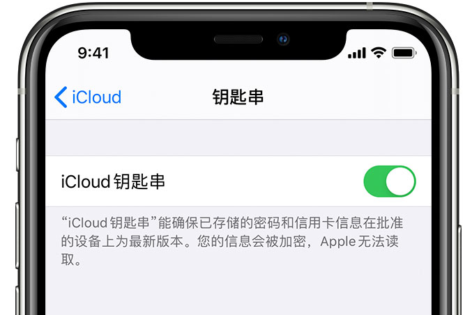 卓资苹果手机维修分享在 iPhone 上开启 iCloud 钥匙串之后会储存哪些信息 